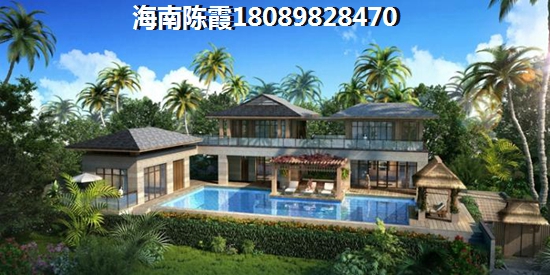 海南景成花半里