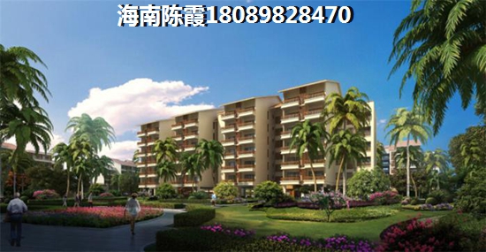 琼海商铺touzi生纸空间怎么样？