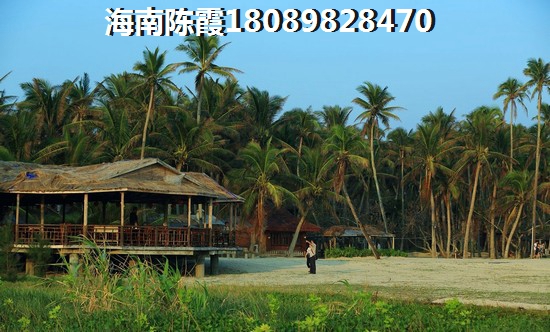 海南买房touzi攻略