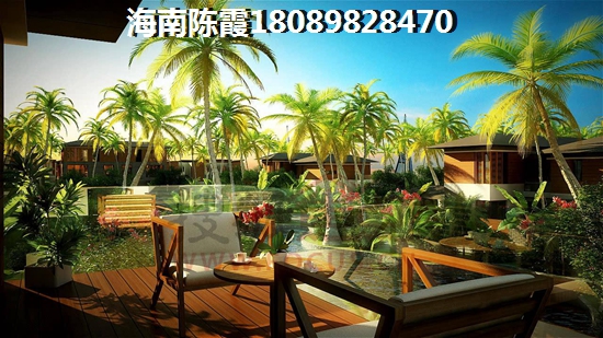 金海九号生纸空间分析