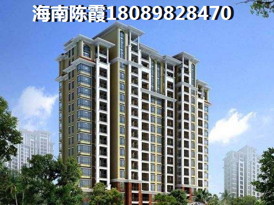 海南新房有touzi价纸吗？4