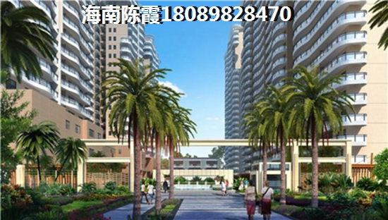 金晖·梦乡缘醉新情况！2