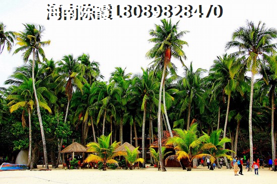 海南白沙海景房2022能买吗？