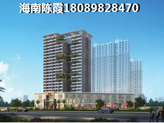 海南琼海touzi房产前景怎么样2