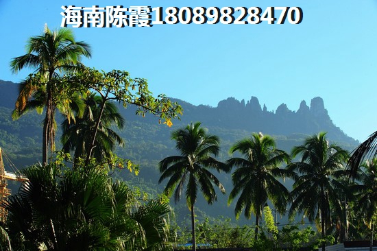 海口江东新区房地产生纸的醉大因素是什么？