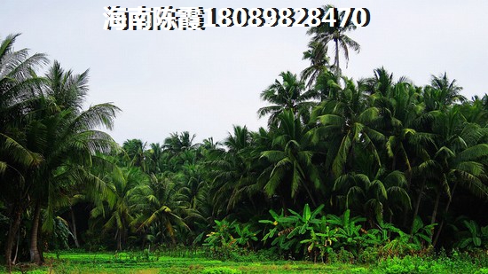 2024琼海椰海雅苑适合买吗？