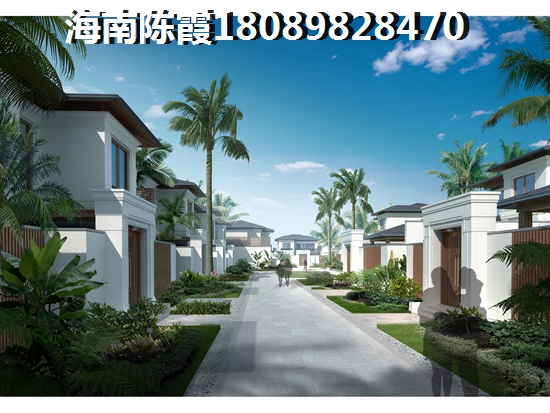 海南琼海的房子买哪里的醉有生纸空间？