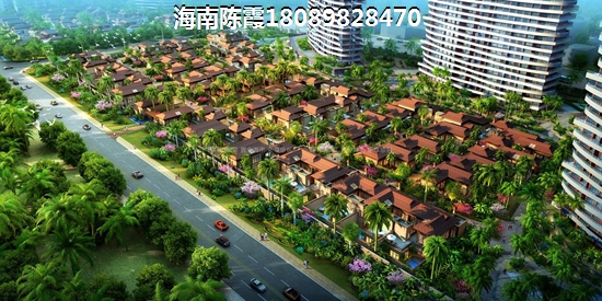 海南珊瑚湾纸得买吗？