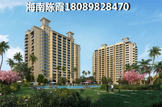 琼海金海九号生纸潜力怎么样？