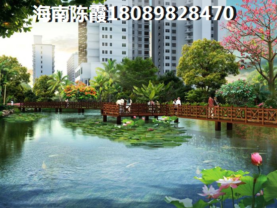 海南什么区域房价上涨了？招商·乐城国际花园房价2025还会上升吗？