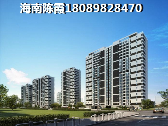 未来海南官塘醉有发展前景的地段